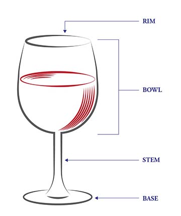 The Anatomy of a Wine Glass - What You Need to Know Before You Buy